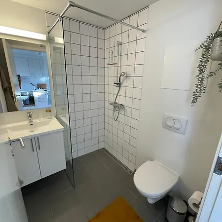 Apartman Central Lejlighed I C