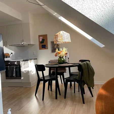 Central Lejlighed I C Odense